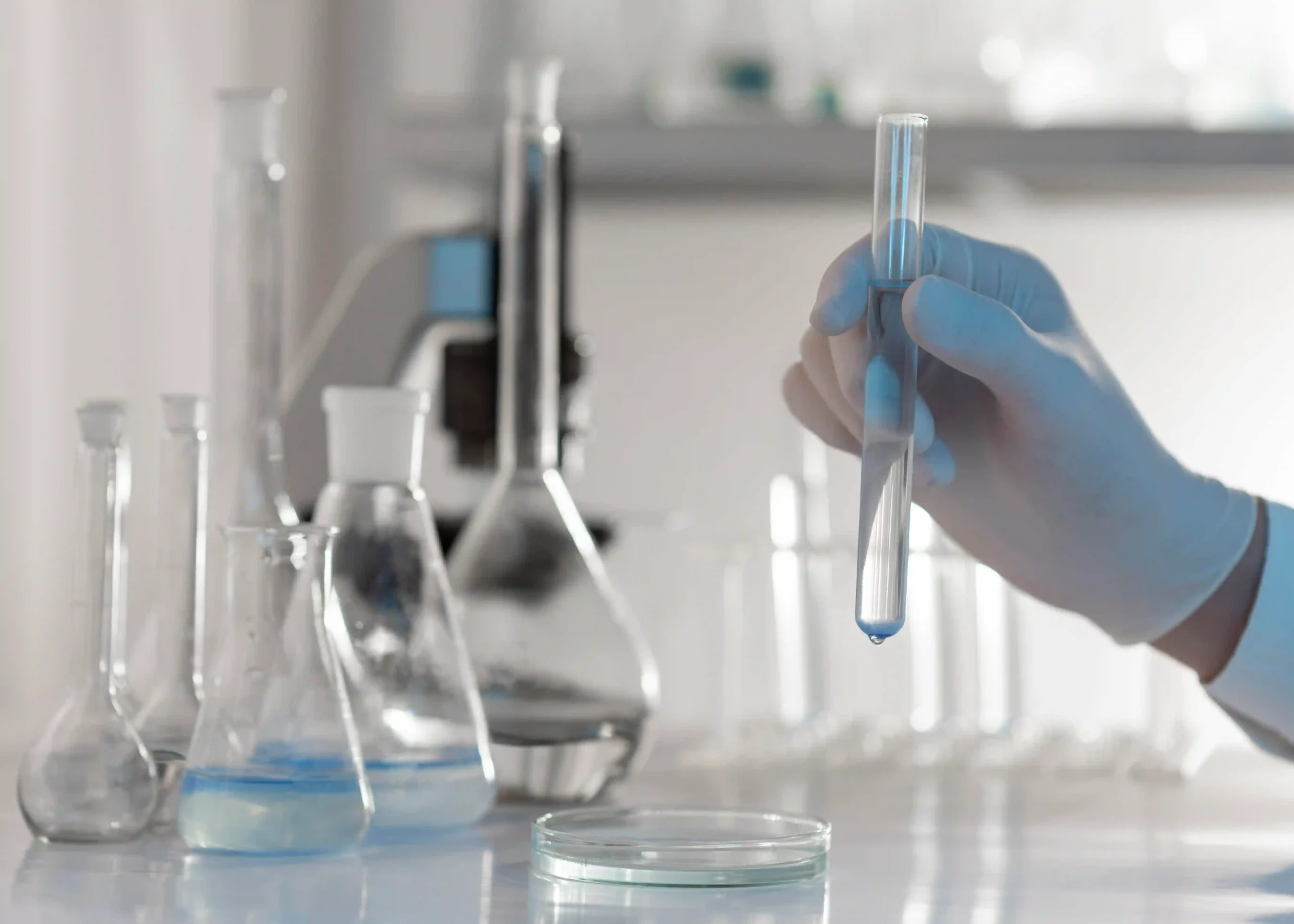 Close-up of hand in glove holding a test tube with blue liquid above petri dish