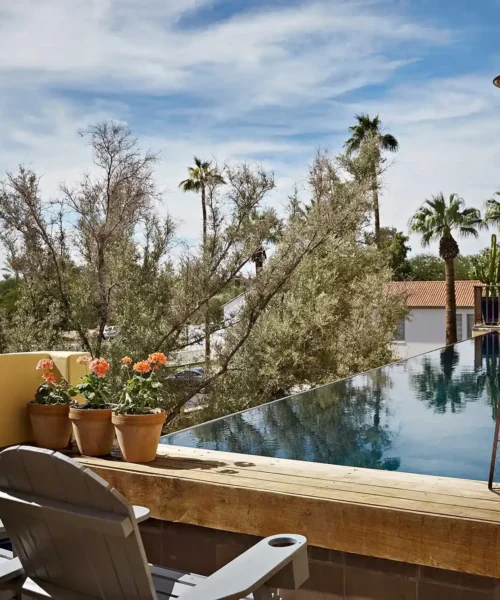 Rooftop infinity pool at Bespoke Inn Scottsdale with lounge chairs, potted flowers, and palm trees in the background